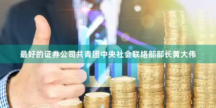 最好的证券公司共青团中央社会联络部部长黄大伟