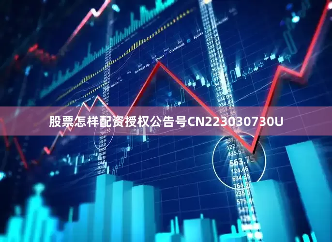 股票怎样配资授权公告号CN223030730U