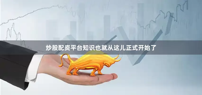 炒股配资平台知识也就从这儿正式开始了