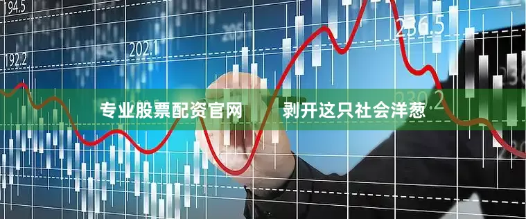 专业股票配资官网        剥开这只社会洋葱
