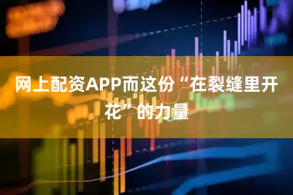 网上配资APP而这份“在裂缝里开花”的力量